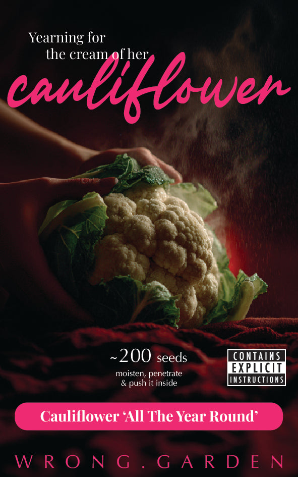Cauliflower 'All The Year Round'