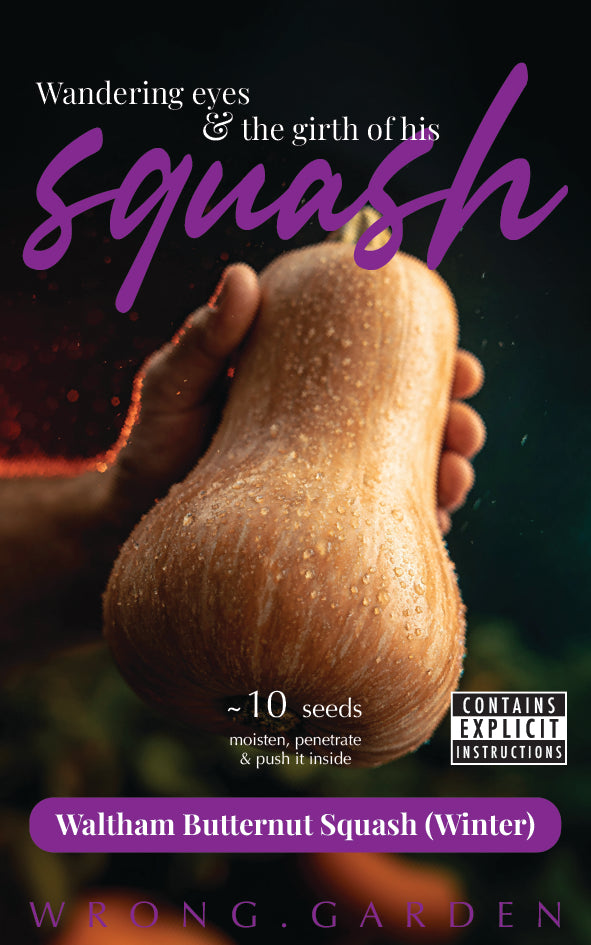 Waltham Butternut Squash (Winter)